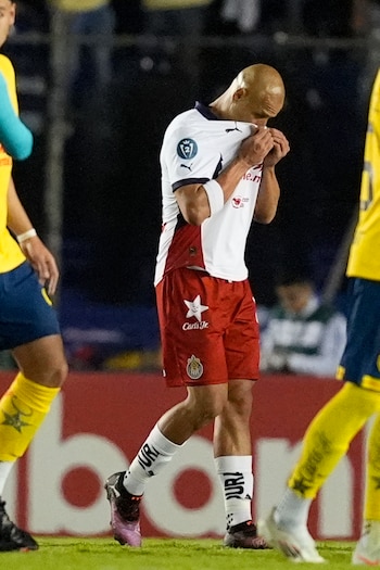 Javier Hernández del Guadalajara reacciona