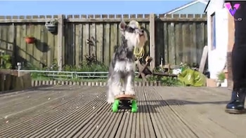 25/11/2020 Conoce a Luna, la