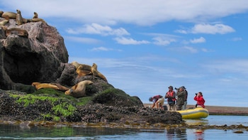 Las excursiones embarcadas para observar