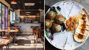 Miracle ha sido elegido como