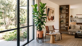 Planta de ficus en maceta sobre pie de madera junto a un sillón de cuero, una mesa pequeña y un ventanal hacia un jardín exterior.