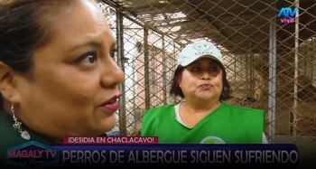 Magaly Medina pide ayuda para animales de albergue y ASPPA llega con alimentos y medicamentos. Captura: Magaly TV La Firme.