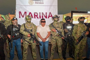 Audias Flores Silva, El Jardinero