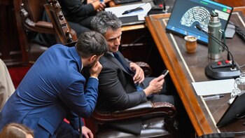 Sesión especial en la Cámara de Diputados vetos de Milei - Discapacidad - Jubilaciones - 20 de agosto