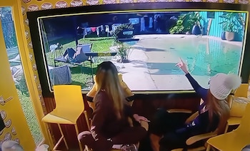 solange cinzia gran hermano