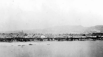 Epidemia de Tifus de Montreal
