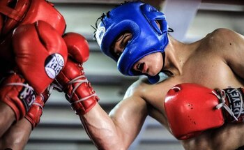 el ensanaden se puntualizó que