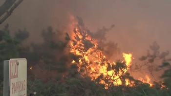Un incendio con llamas naranjas y humo denso sobre vegetación verde. Se observa un cartel de 'NO PARKING' parcialmente visible