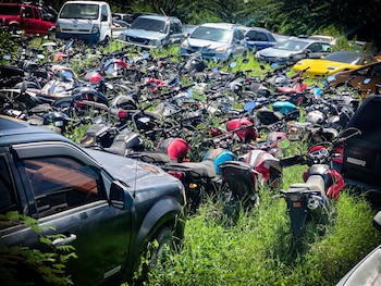 Las autoridades policiales recuperaron 396 automotores robados, cifra equivalente al 54,4 por ciento de las denuncias.
