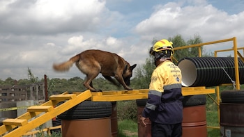 (Foto: Juan Vicente Manrique/Infobae)