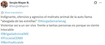 Sergio Mayer arremete en contra de la abogada.
