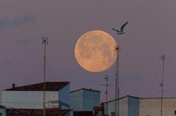 La luna llena cerca del