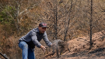 La sequía extrema en Brasil