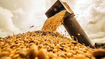 Crece la producción mundial de