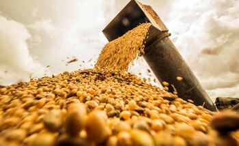 El aceite obtenido en la