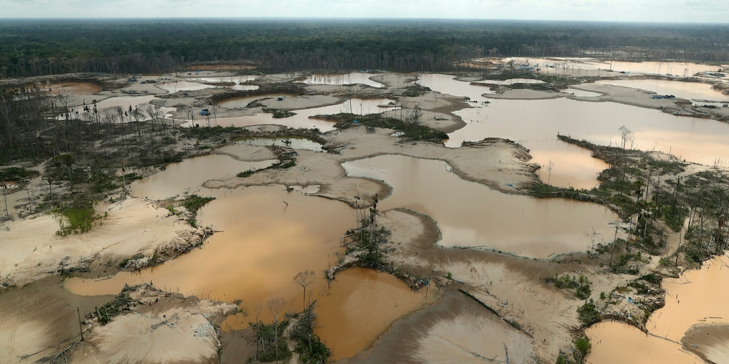 EPI 2026: Perú queda a 46 escalones de Chile en índice ambiental mundial de Yale