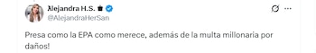 Los comentarios no se hicieron esperar - crédito @AlejandraHerSan / X