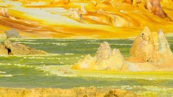 Microorganismos extremófilos: descubiertos en aguas