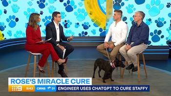 La historia impulsa el debate