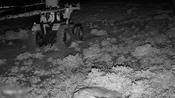 Mafia del Cobre (GC)