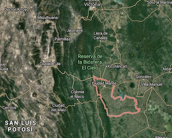 ciudad mante tamaulipas