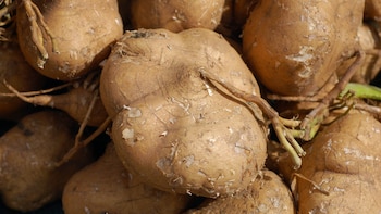 Por esta razón deberías de