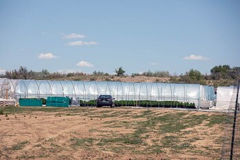 Una de las granjas de