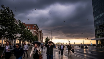 Más de diez estados de