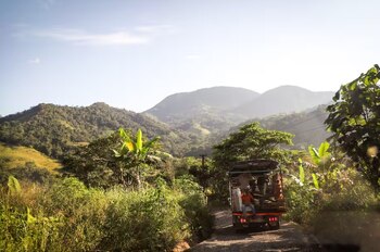 Más de 40 familias de