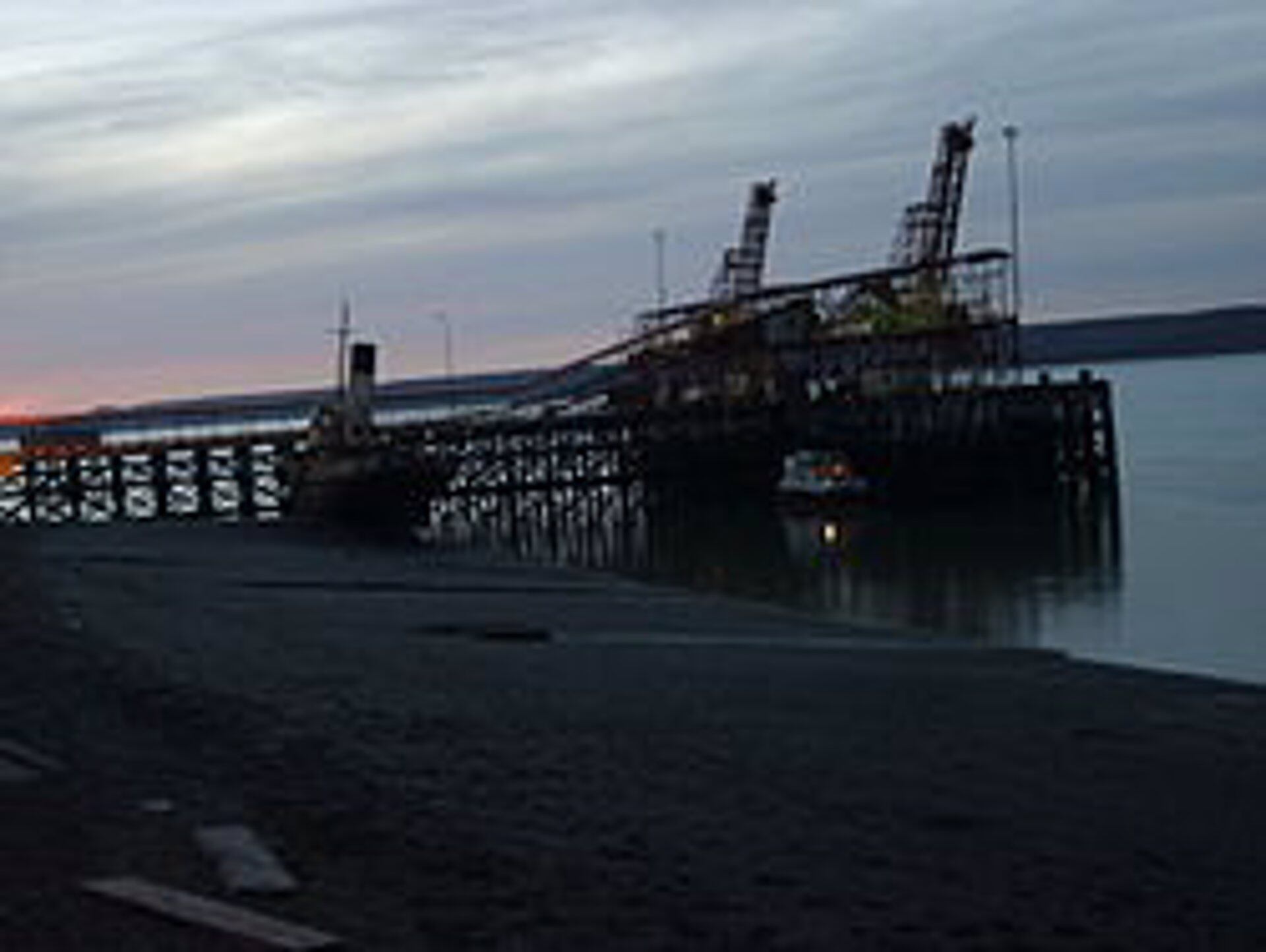 En La Libertad Avanza suena fuerte un funcionario del PAMI que celebró la conversión en sociedad anónima de Yacimientos Carboníferos Río Turbio (YCRT)