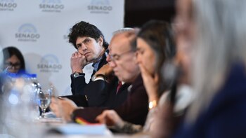 El senador radical y presidente