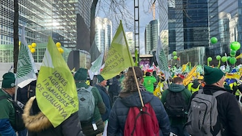 Jarc reclama compensar al sector