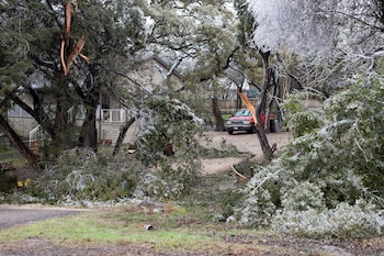 San Antonio se caracteriza por un clima más semiarido (Reuters)