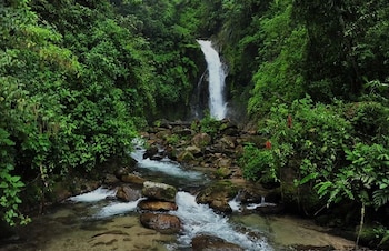 selva
