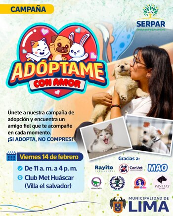 La campaña de adopción es