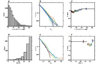 La revisión de datos sísmicos desde 1976 muestra que la geometría y orientación de estas fallas son claves para el crecimiento de los sismos (Science)