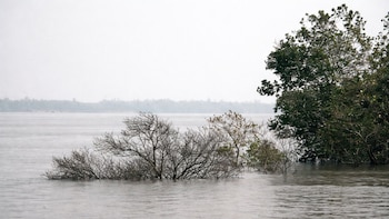 La sumersión de New Moore