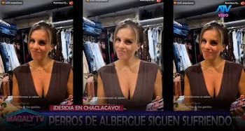 Animalistas responde a Alejandra Baigorria por denuncia contra albergue: “Ninguna de nosotras va a postular”. Captura: Magaly TV La Firme.