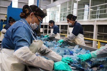 El reciclaje brinda numerosos beneficios