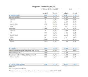 Programa financiero en dólares