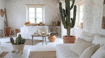 Interior luminoso de sala con paredes de piedra blanca, sofás blancos, mesa rústica, cactus grandes y pequeños, taburetes y alfombras de fibra.