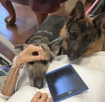 El paciente terminal pudo reencontrarse