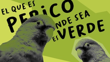 Los refranes o dichos son