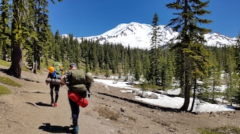 Dos personas de espalda cargan mochilas de senderismo en un camino de tierra, rodeadas de pinos y nieve con una montaña nevada al fondo.