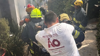 Rescatan a perrito en alcaldía