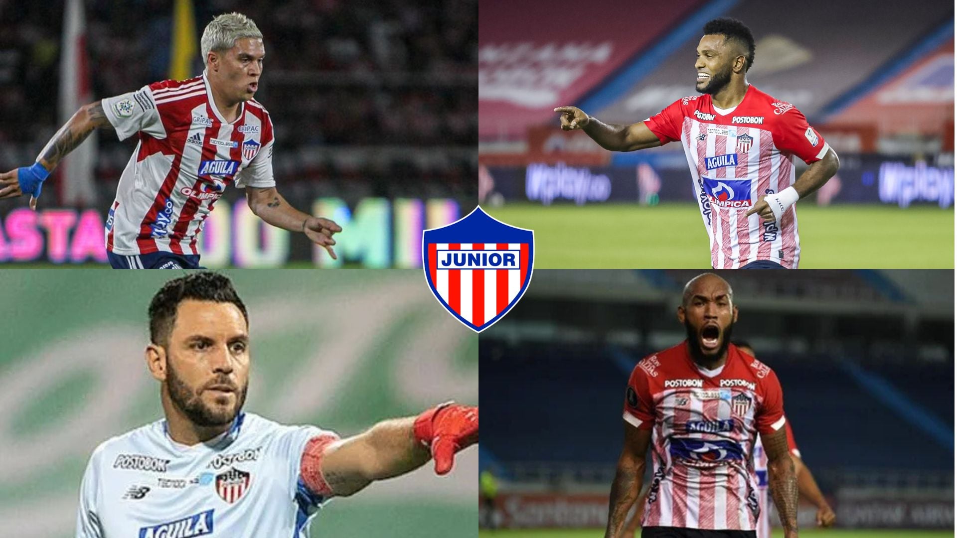 En la fotografía aparecen cuatro jugadores, en orden: Juan Fernando Quintero, Miguel Ángel Borja, Sebastián Viera y Freddy Hinestroza - crédito Dimayor/Junior
