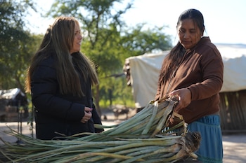 Luisa, artesana del chaguar y líder wichí, acaricia su gran recurso: la planta de chaguar