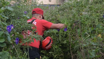 Un rescatista busca entre la