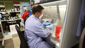 Científicos comprobaron que faltaba un