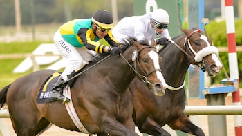 Tips Jurídicos: apuestas “sale o sale”, ¿son legales?